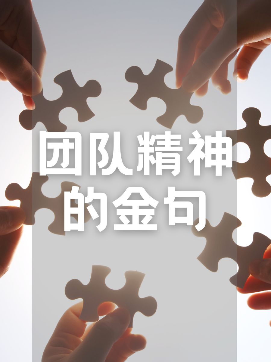 bob体育官网-团队合作默契，赛场上展现出强大实力的简单介绍